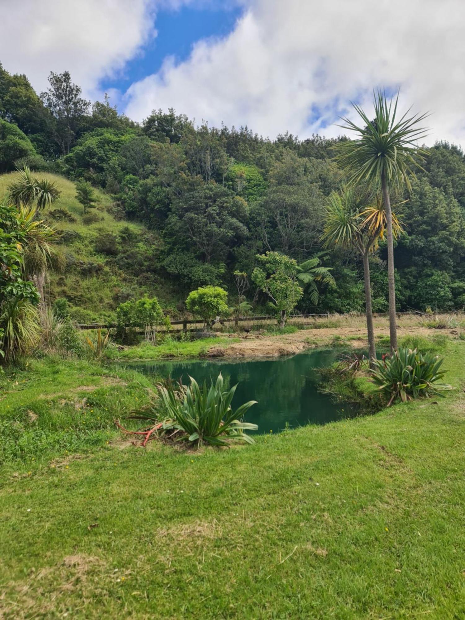 Tiny Home @ Matai Huka Paraparaumu Buitenkant foto